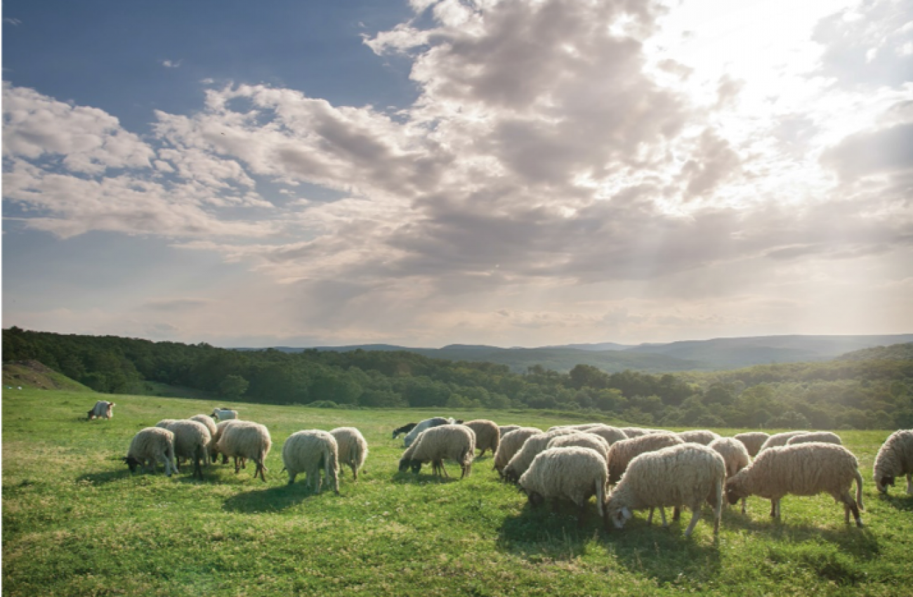 Seava Hồ Tràm Beach Resort Vietnam