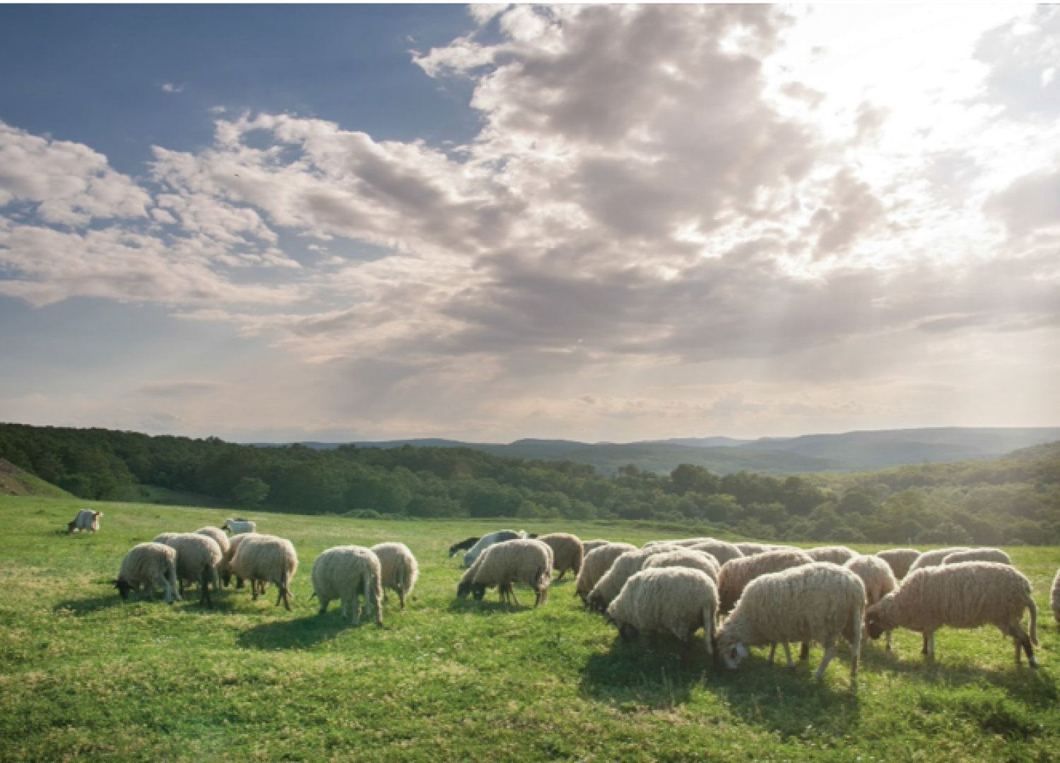Seava Hồ Tràm Beach Resort Vietnam